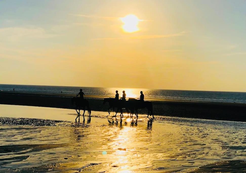 Le Camaieu Deauville Ngoại thất bức ảnh